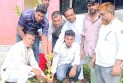 পরিবেশ রক্ষায় বাঁশখালীতে বামের ছড়া-ডানের ছড়া পানি ব্যবস্থাপনা সমিতির বৃক্ষরোপণ